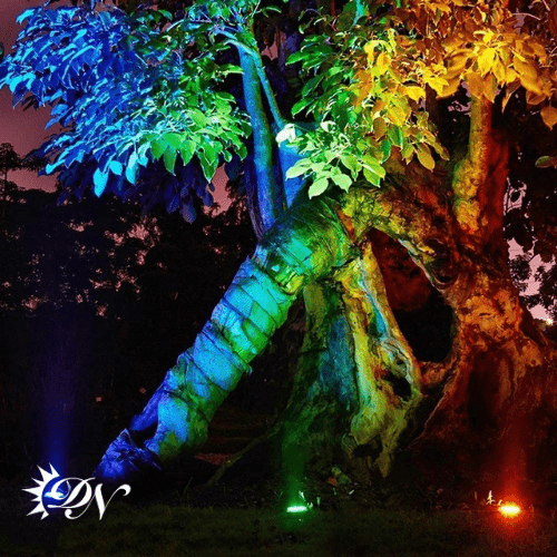 نورپردازی درخت